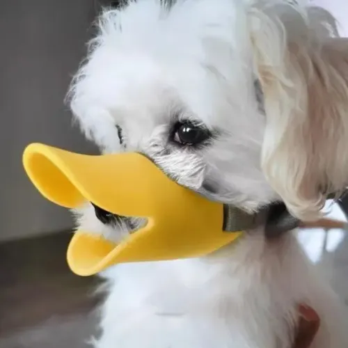 Focinheira Bico De Pato Silicone Cachorro