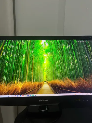 Monitor 22? PHILIPS