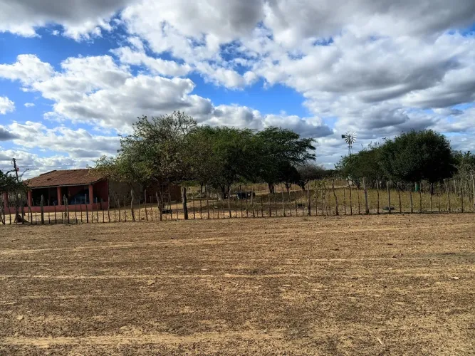 Casa com área de mais de 1000 metros cercado + 21 hectares de terra, 110.000 mil