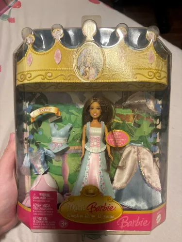 Erika princesa e a plebeia mini kingdom