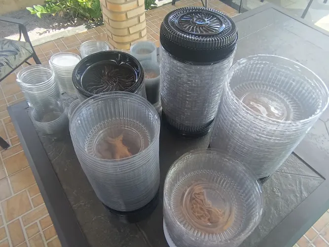 Vendo Embalagens para Bolo Tamanhos Variados (combo completo)