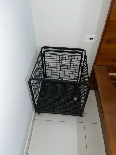Cercadinho para cachorro