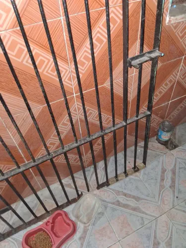 Portão gradiado valor 180,00