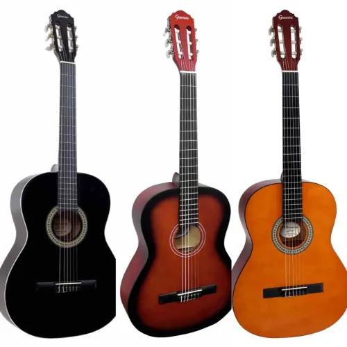 VIOLÕES