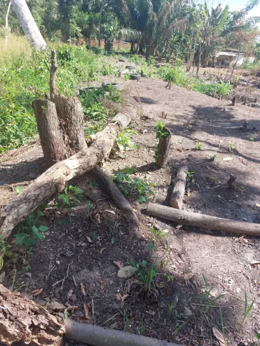 Terreno para chácara