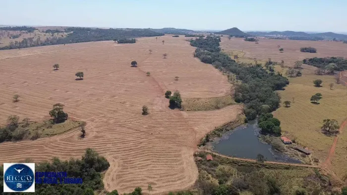 Fazenda à venda em Piracanjuba - 75 alqueires