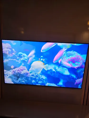 Smart TV Samsung QLED 55 polegadas usada. Leia o anúncio inteiro