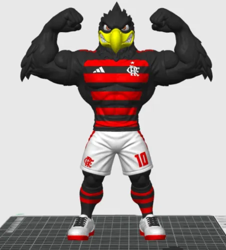 Urubu do Flamengo