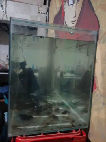 Aquario de 400 litros