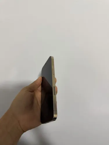Celular iphone