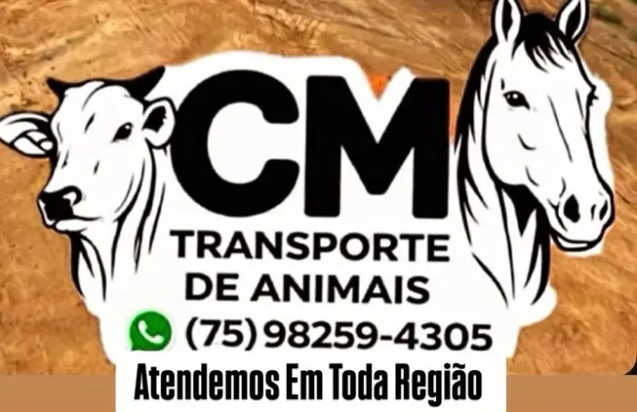 CAVALOS MM VAQUEJADA EXPOSIÇÃO COPA D MACHA TRANSPORTE GADO PRA TODA REGIÃO 