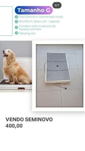 Weasy dog seminovo