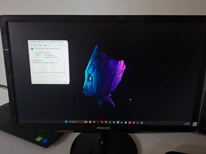 Monitor Philips 227E | 21.5" - Usado