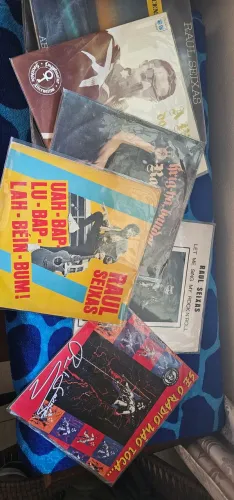 Coleção Raul Seixas