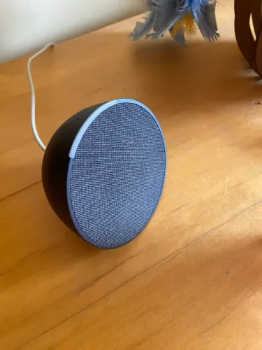 Alexa Amazon
