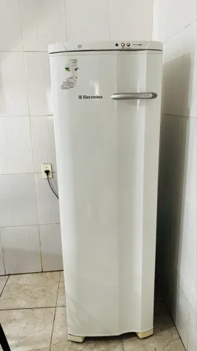 Freezer Vertical