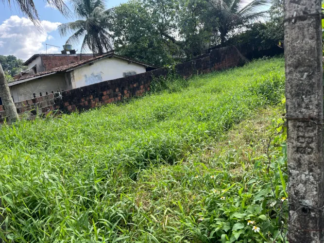 Vende se terreno