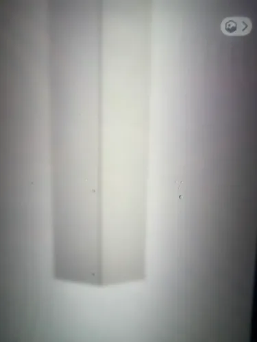 Folha de Porta camarão branca