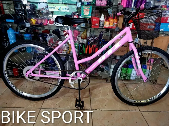 Bicicleta aro 24