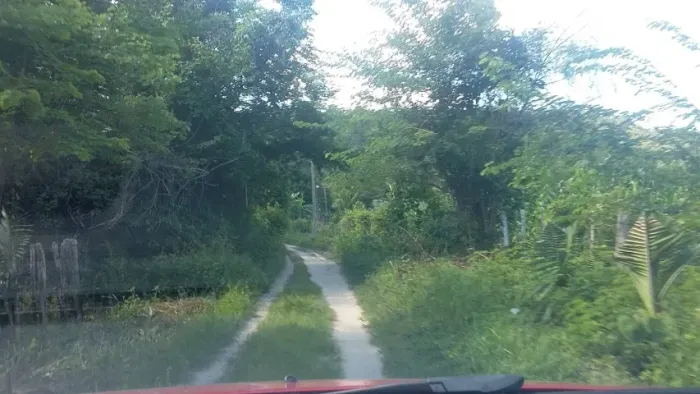 SITIO A 30 MINUTOS DE TERESINA 78 HECTARES
