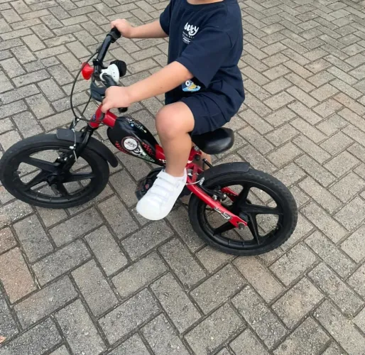 Bicicleta