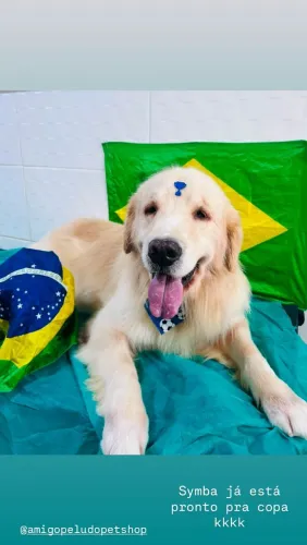 Doação responsável