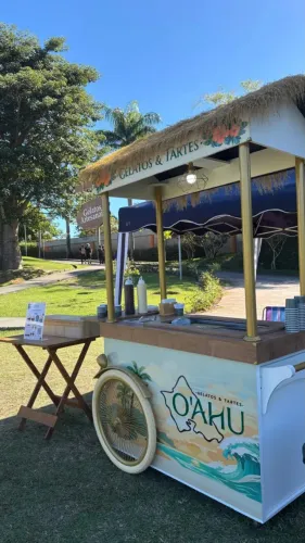 Carrinho Gourmet Profissional com Freezer - Sorvete, Gelato e Eventos