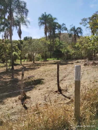 Só 25 mil o hectare