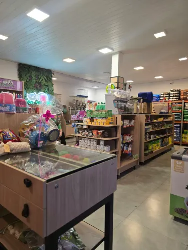 Pet Shop consolidado pronto para assumir.