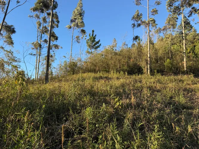 ANITÁPOLIS/SC - Terreno para sítio com 3 hectares
