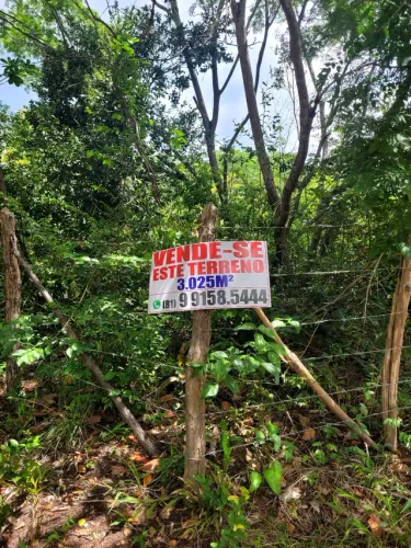 Vendo terreno na Chapada do Araripe (Sítio Santa Fé)