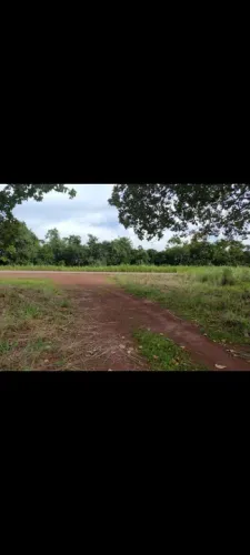 Faz 71 Alq 65 Alq de Pasto beira do asfalto fora da Apa