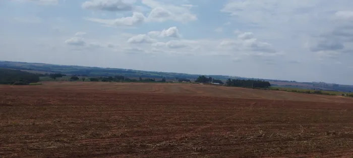 Chácara 20.000 m2,na rodovia de Presidente Castelo Branco para Floraí,R$ 250 mil