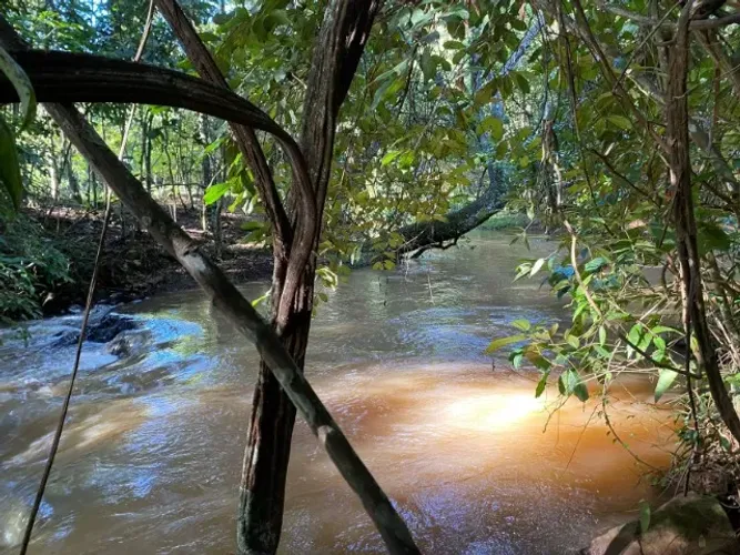 Chácara em Bonfinópolis 8000m2 rio no fundo só R$ 350 mil 
