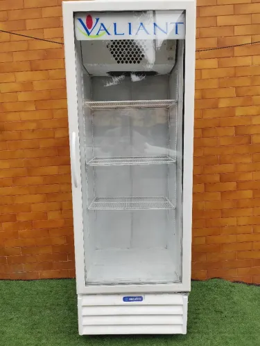 Geladeira expositora 220 vts 450 litros