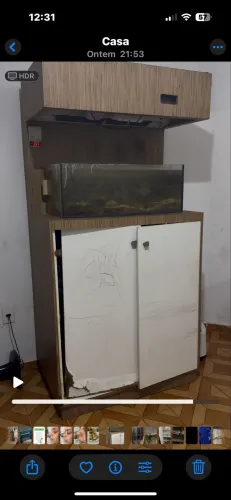 Aquário marinho 100 litros