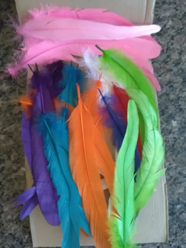 Tiaras e penas coloridas para artesanato 