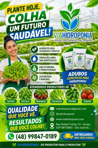Os melhores produtos para plantas 