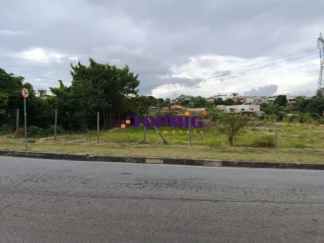 Área - Amazonas - Betim.