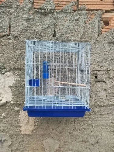 Gaiola calopsita