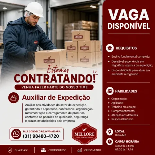 Auxiliar de expedição
