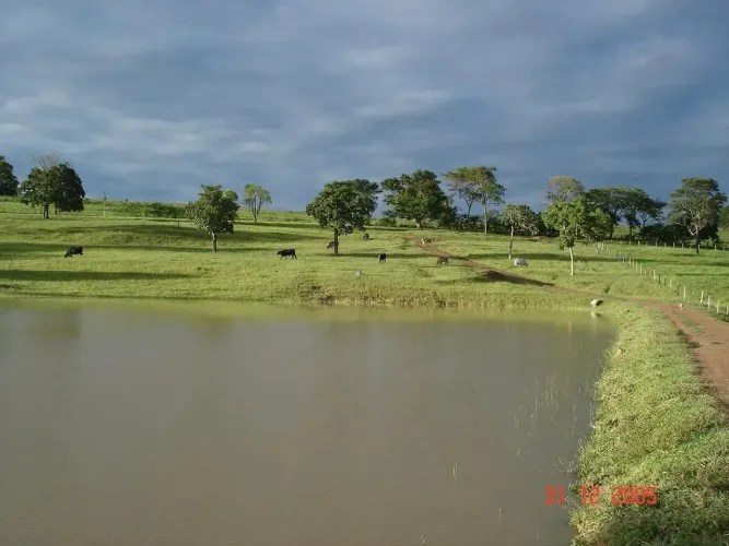 Vendo Fazendinha em Palmeiras de Goiás!!!