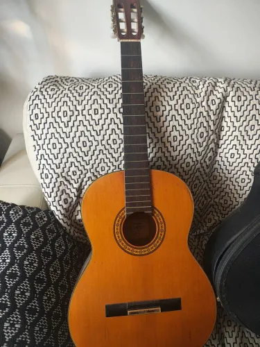 Violão Takamine cordas de nylon, n 30