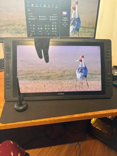 Mesa Display Huion Kamvas Pro 20 (2019) 