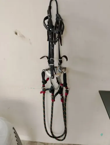 Cabeçada