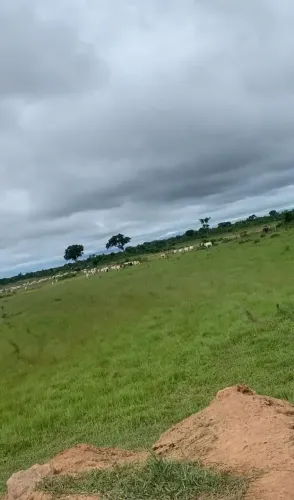 fazenda com 517 hectares na região entre a cidade de Nossa Senhora do Livramento