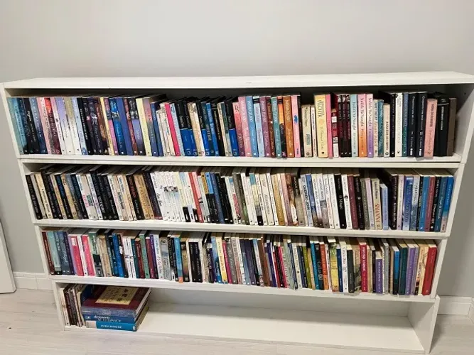 Lote de 257 Livros - Nora Roberts - e outros (Leia o Anuncio)
