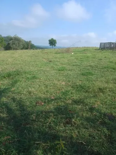 Sitio 12 Alqueires FORMADA NO PASTO BOA TOPOGRAFIA TERRA DE CULTURA RIBEIRÃO AO FUNDO NÃO 