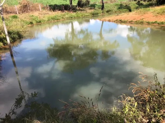 Vendo fazenda no município de Doverlândia/GO.