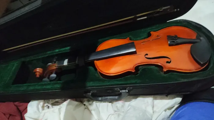 Violino parrot 3/4 luxo com hard case